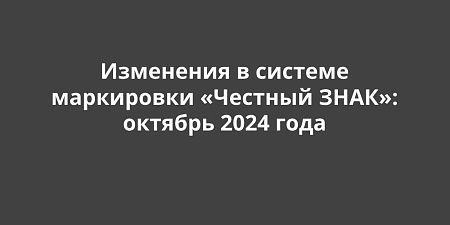 ���������� � ������� �������� ���ʻ: ��������� � ������� 2024 ����